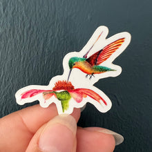 Afbeelding in Gallery-weergave laden, Uitverkoop Losse sticker "Kolibrie"