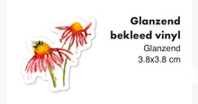 Afbeelding in Gallery-weergave laden, Echinacea met bij sticker
